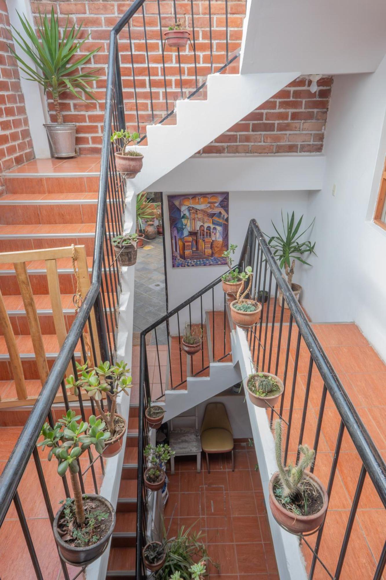 كوسكو Native Soul Guesthouse المظهر الخارجي الصورة